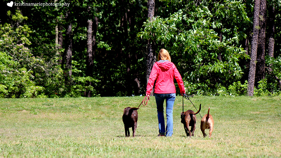 picture of dana walking three dogs